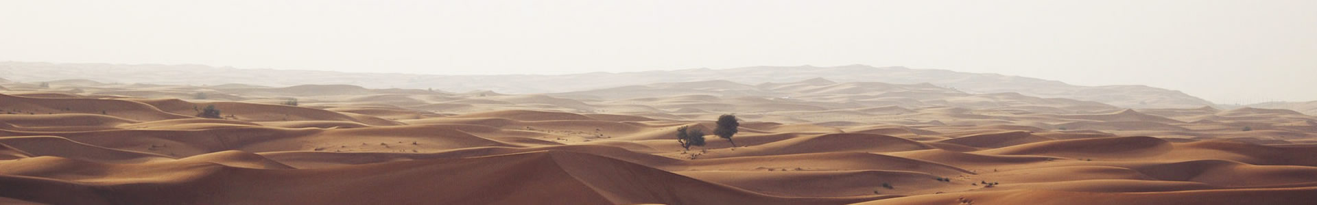 ۰غľ޹˾